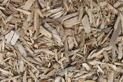 biomass boilers Honing